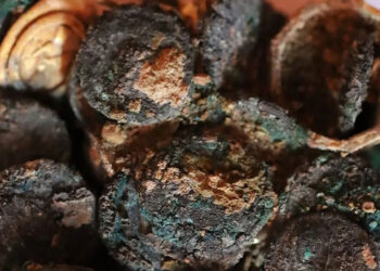 A Town’s Past: Burned House in Histria and the Glowing Treasure Inside