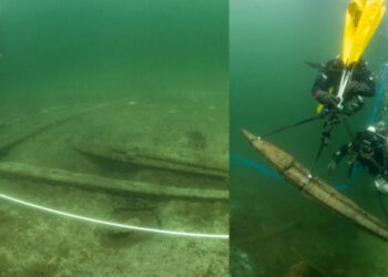 Gribshunden: The Floating Voice and Artillery Power of the Age of Discovery